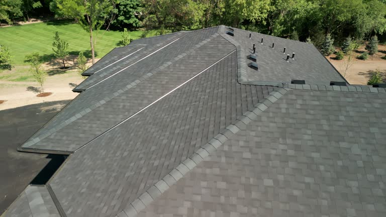 Best Storm Damage Roof Repair  in Holly Hill, SC